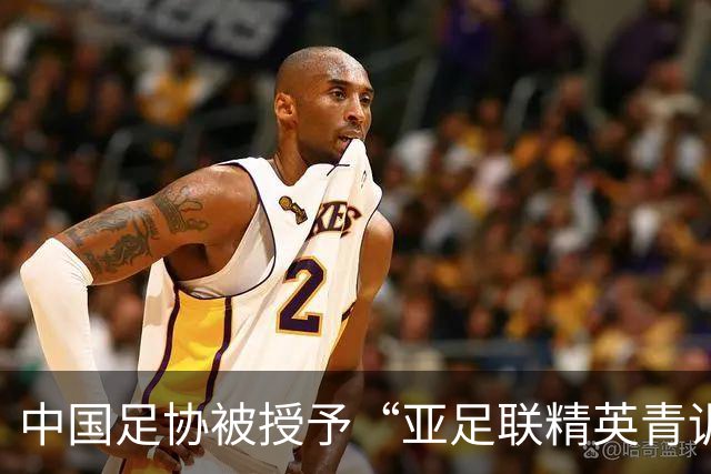 中国足协被授予“亚足联精英青训计划三星会员”资格