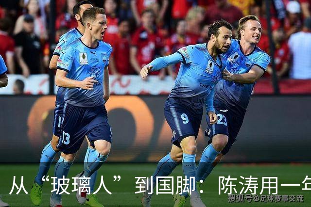 从“玻璃人”到国脚：陈涛用一年，救了戴伟浚的职业生涯