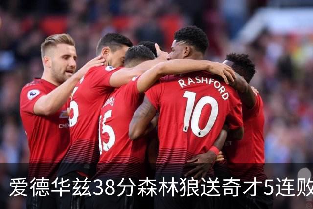 爱德华兹38分森林狼送奇才5连败 活塞力克黄蜂