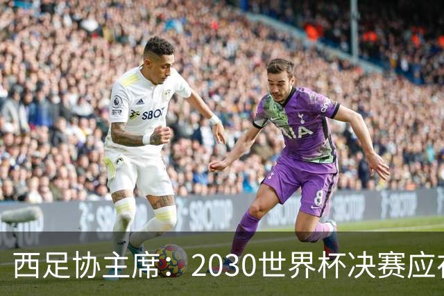 西足协主席：2030世界杯决赛应在西班牙踢 德拉富恩特继续任主帅