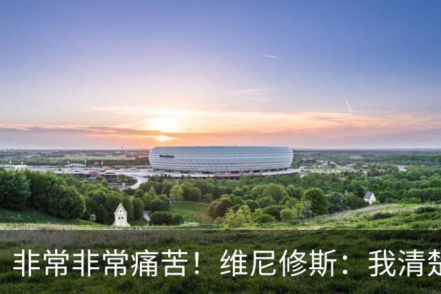 非常非常痛苦！维尼修斯：我清楚巴西很多没夺冠了，向球迷们致歉
