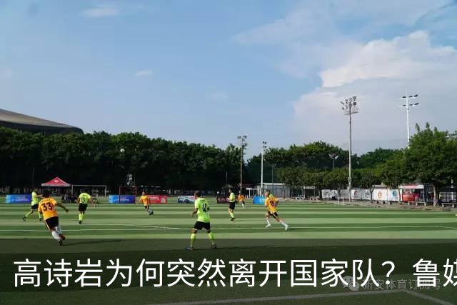 高诗岩为何突然离开国家队？鲁媒说出答案，不是能力不行，好扎心